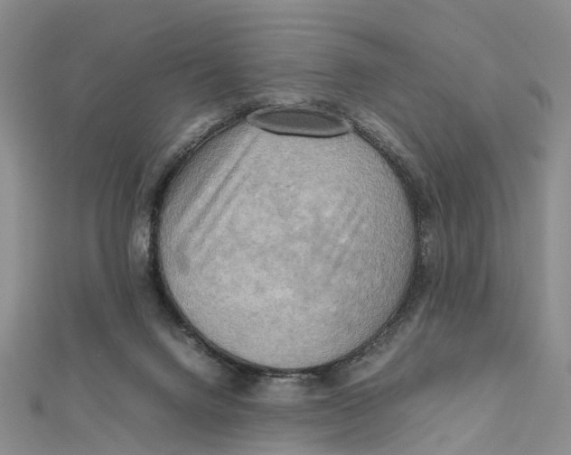 X0000112090072200909011112