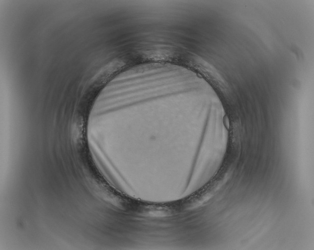 X0000112090073200909011112