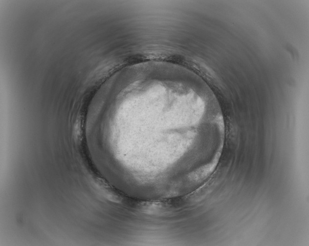X0000112090074200909011112