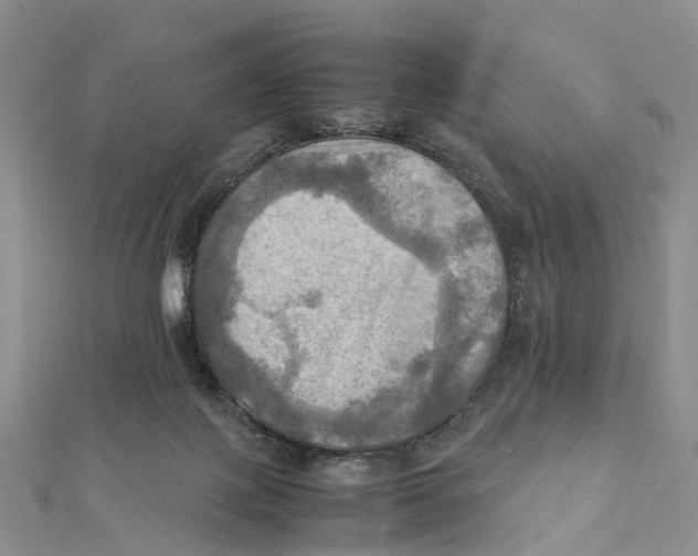 X0000112090075200909011113