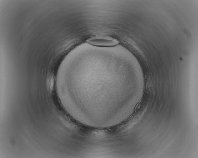 X0000112090076200909011113
