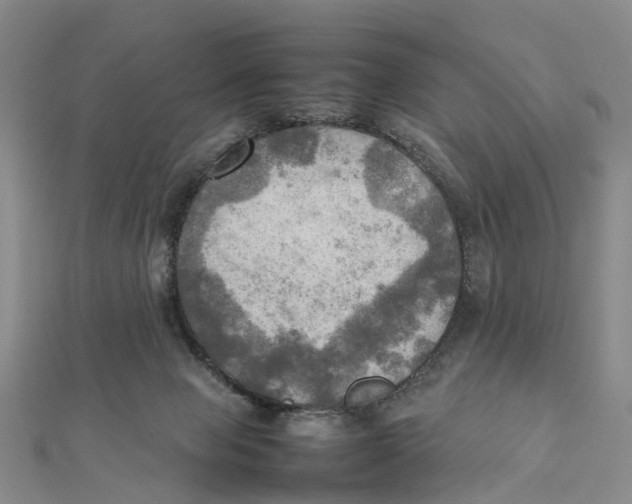 X0000112090077200909011113