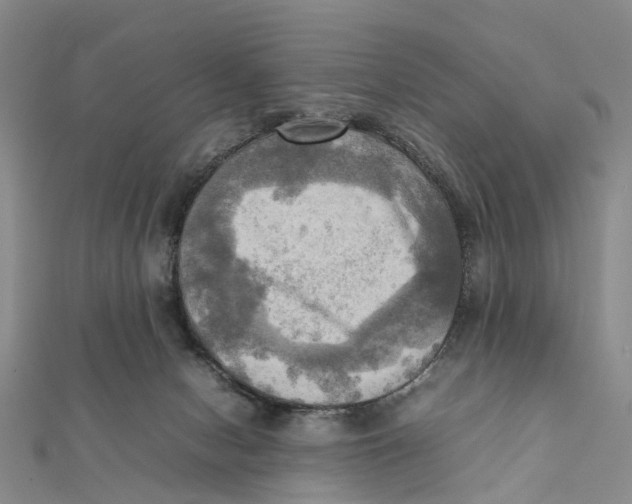 X0000112090078200909011113