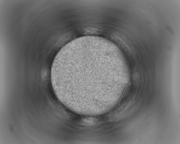 X0000112090079200909011113