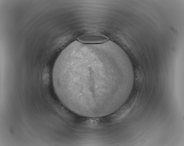 X0000112090080200909011113