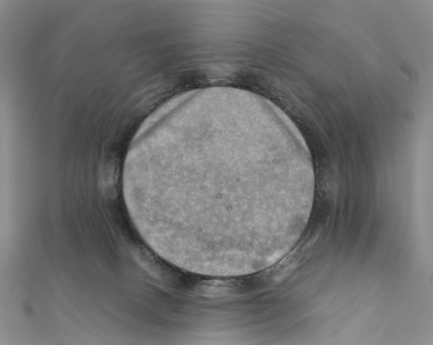 X0000112090082200909011113