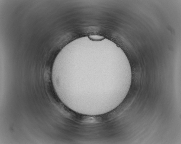 X0000112090083200909011113