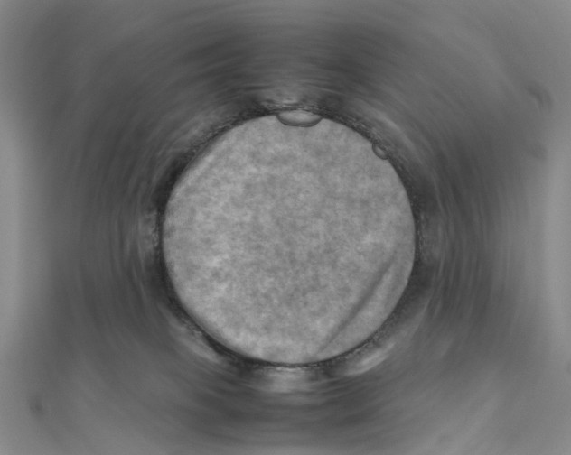 X0000112090085200909011113