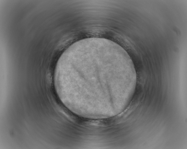 X0000112090086200909011113