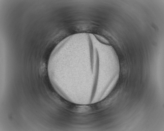 X0000112090087200909011113