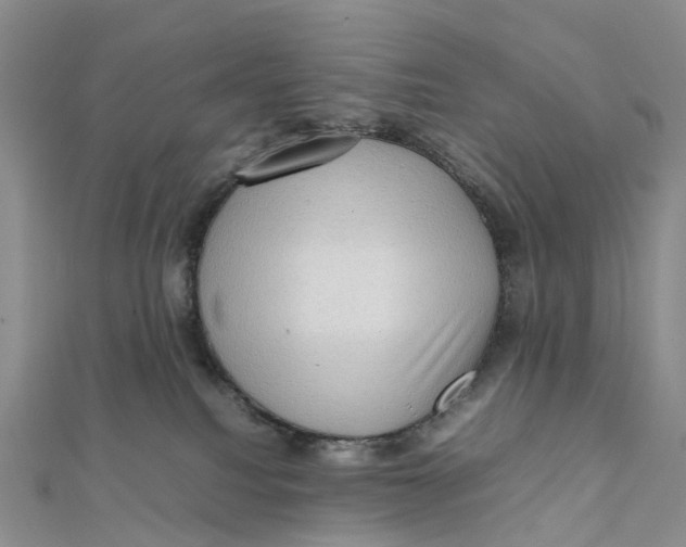 X0000112090088200909011113