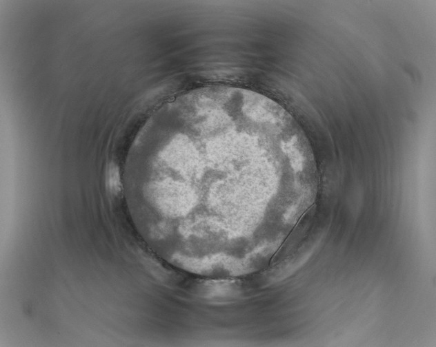 X0000112090089200909011113