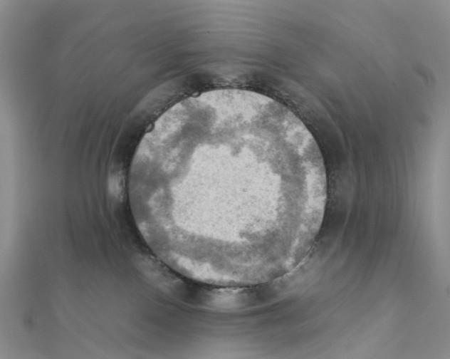 X0000112090090200909011113