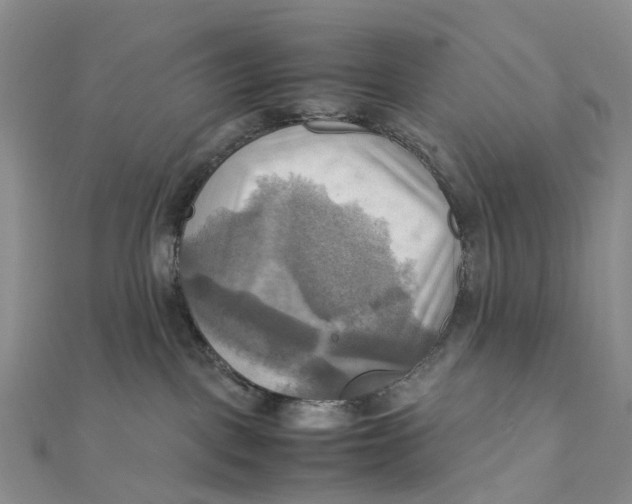 X0000112090093200909011113