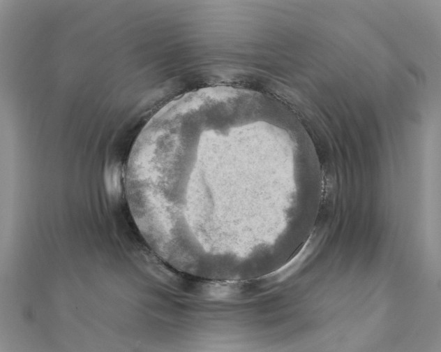 X0000112090094200909011113