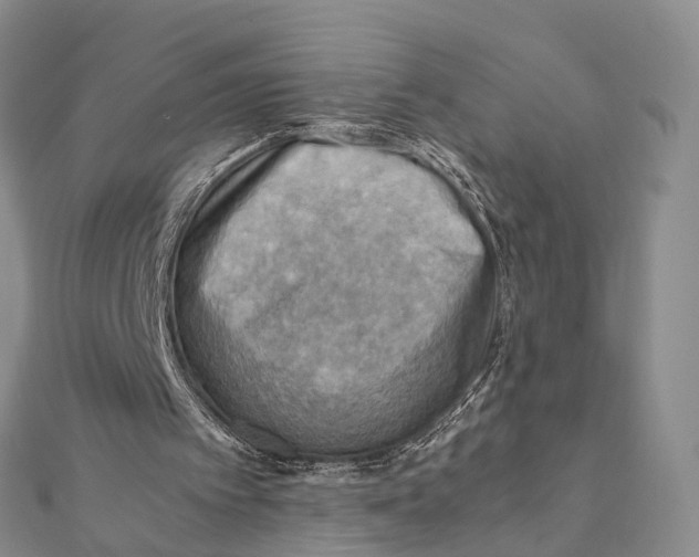 X0000112090097200909011112
