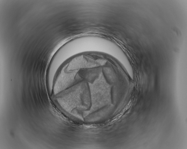 X0000112090100200909011112