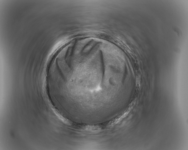 X0000112090101200909011112