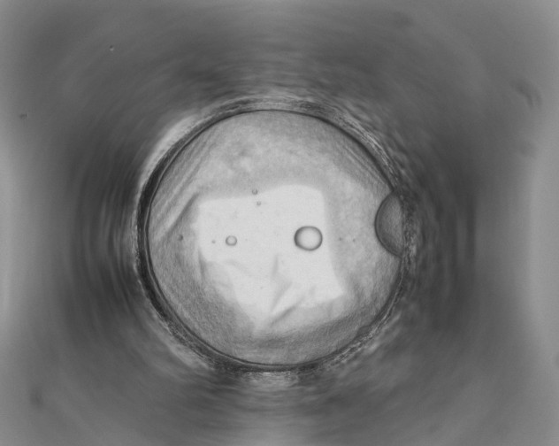 X0000112090102200909011112