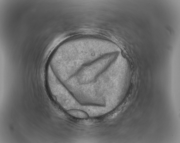 X0000112090103200909011112