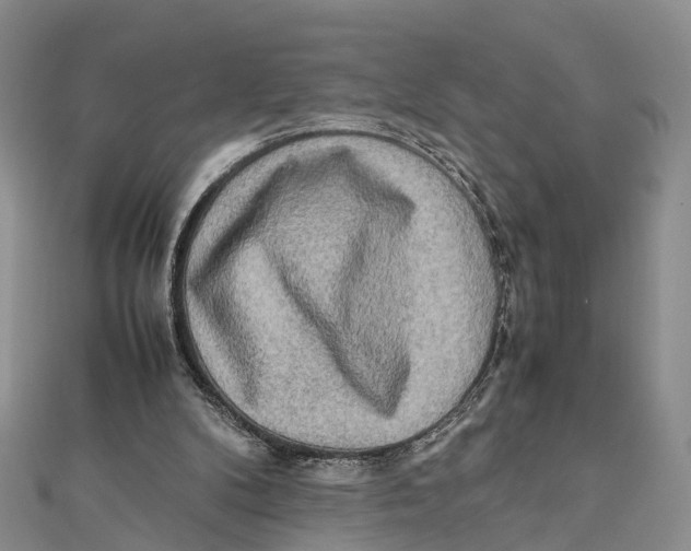 X0000112090104200909011112