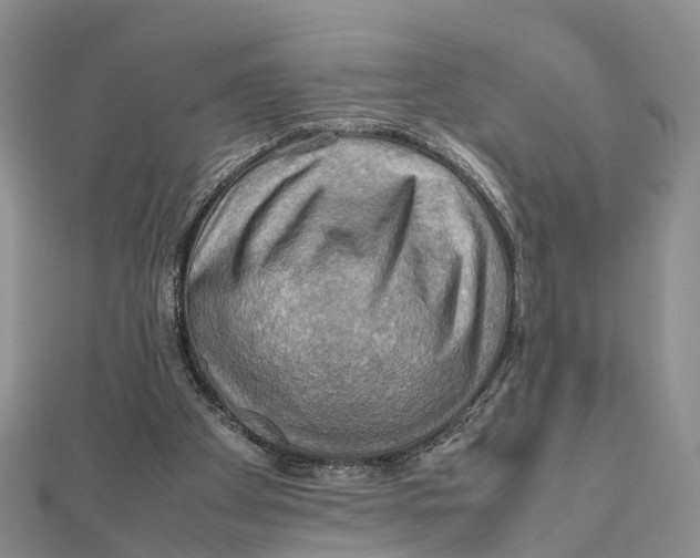 X0000112090105200909011112
