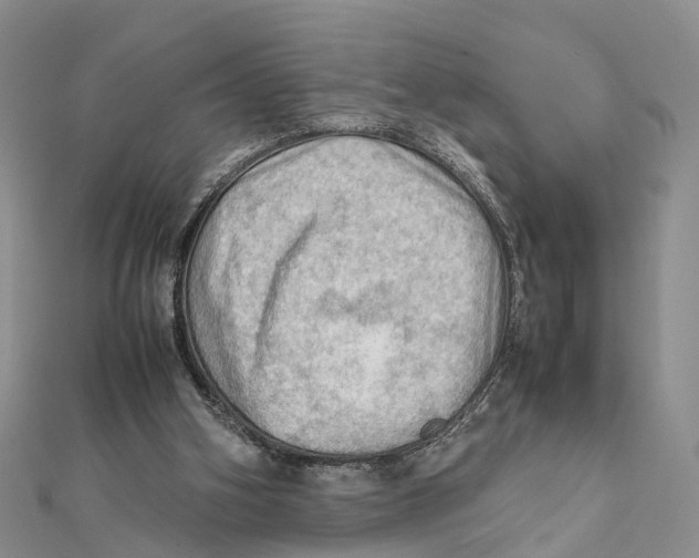 X0000112090106200909011112