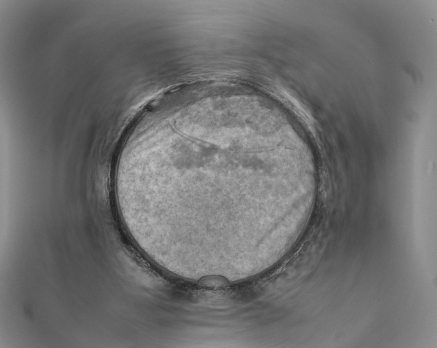 X0000112090107200909011112