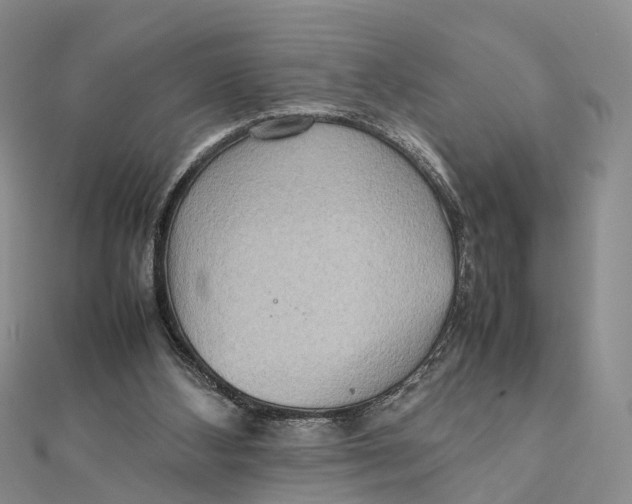 X0000112090108200909011112