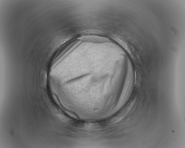 X0000112090109200909011112