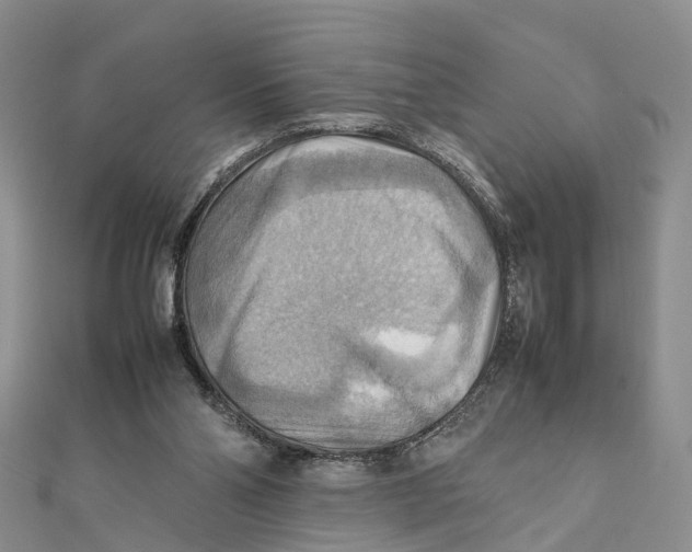 X0000112090110200909011112