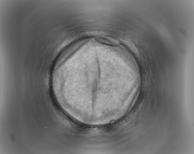 X0000112090111200909011112