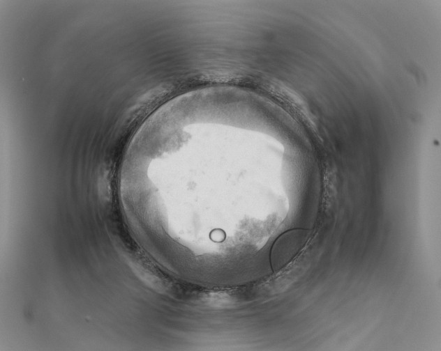 X0000112090114200909011112