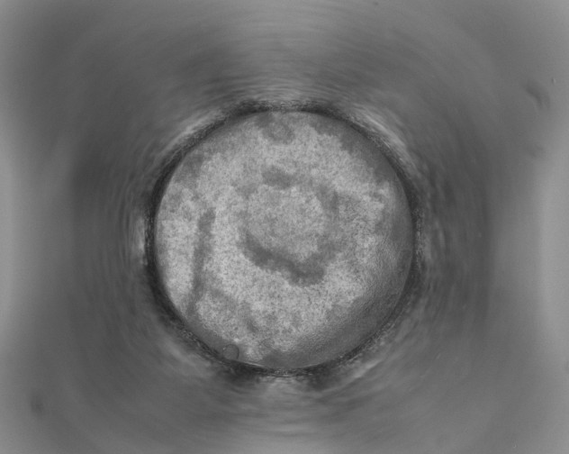 X0000112090115200909011112