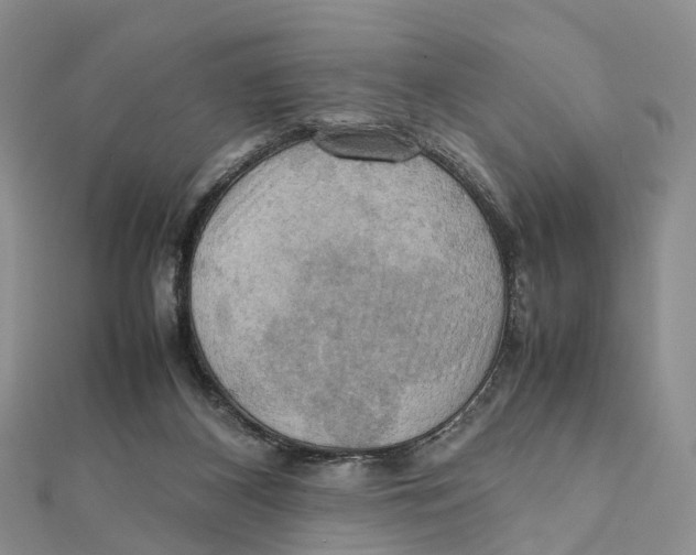 X0000112090116200909011112