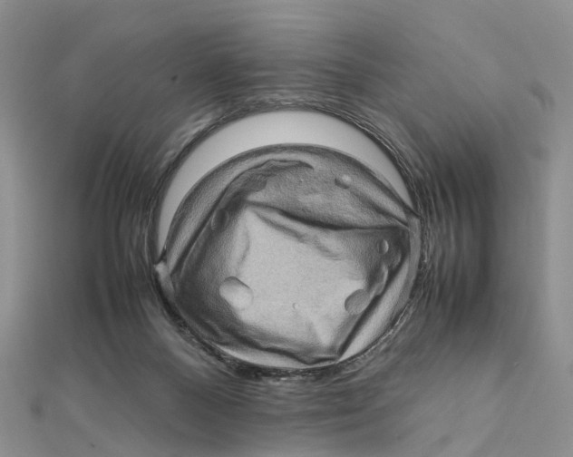 X0000112090120200909011112
