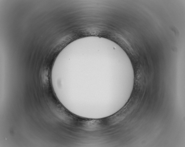 X0000112090122200909011112