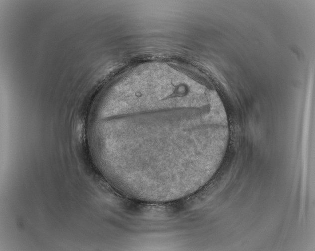 X0000112090123200909011112
