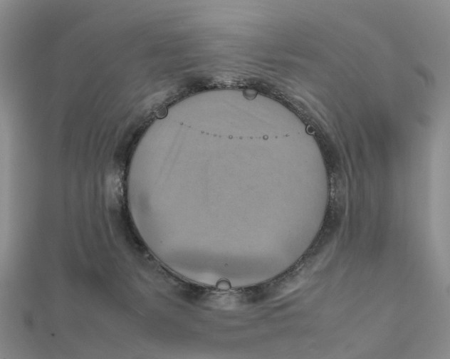 X0000112090127200909011112