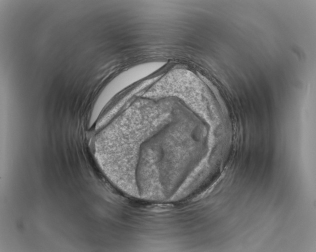 X0000112090128200909011112