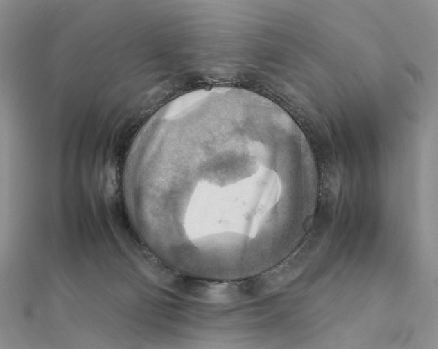 X0000112090130200909011112