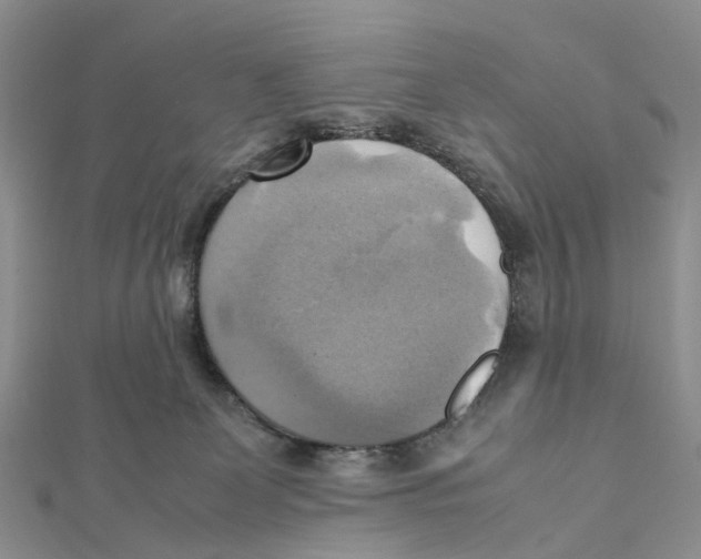 X0000112090131200909011112