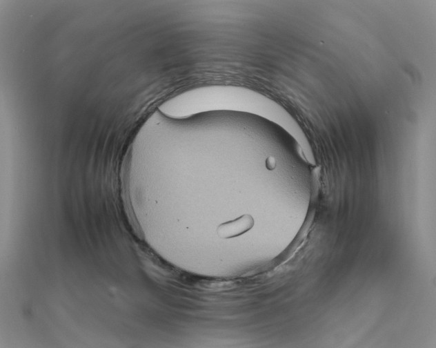 X0000112090132200909011112