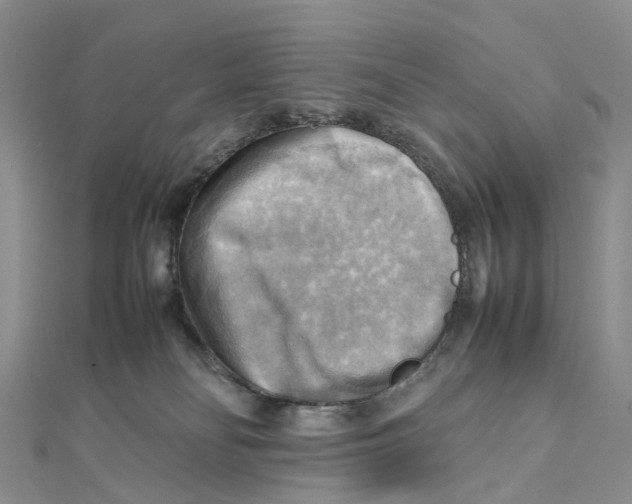 X0000112090134200909011112