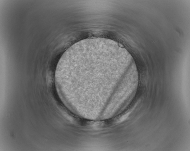 X0000112090135200909011112