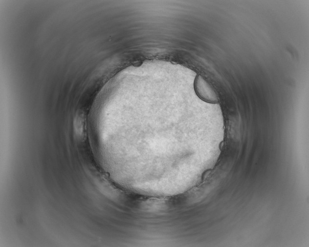 X0000112090138200909011112