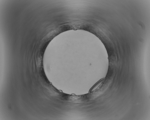 X0000112090139200909011112