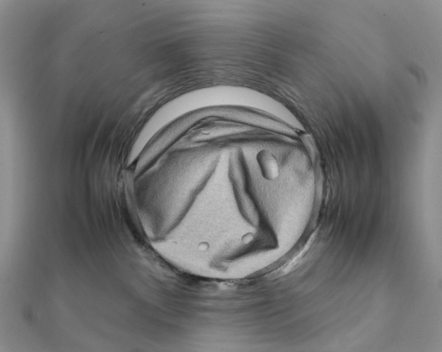 X0000112090140200909011112