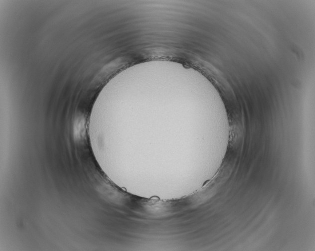 X0000112090142200909011112