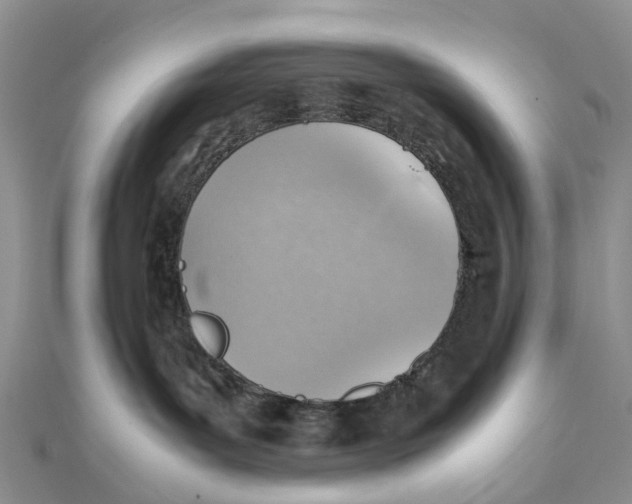 X0000112090143200909011112